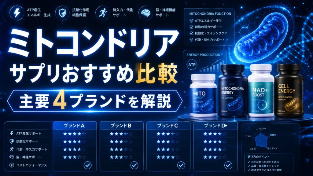 ミトコンドリアサプリおすすめ比較｜主要4ブランドを解説
